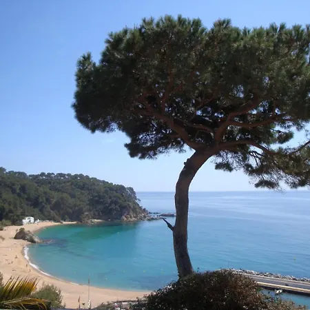 Malibu * Lloret de Mar